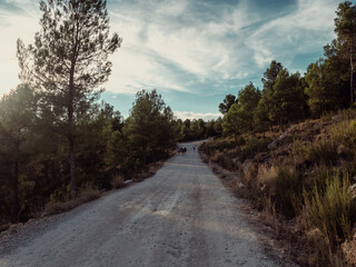 Beautiful forest at sunset in Moratalla, Murcia (city of Spain). Iberian nature, people walk under nature. People in the distance in a forest at sunset.