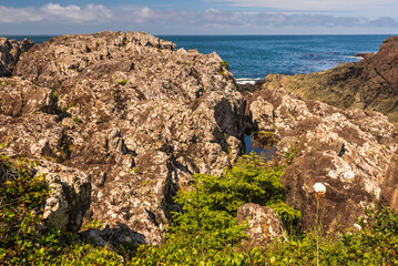 nature sceneries over the Pacific Ocean, along the Vancouver Island coastline, british columbia, Canada