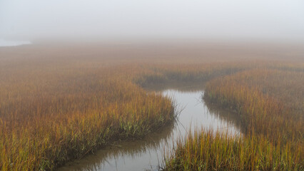 Foggy Salt Marsh Grass and Water