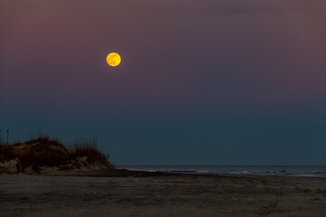 Moonrise over Dunes and Beach