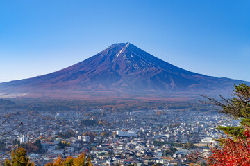 山梨県富士吉田市　新倉山浅間公園の紅葉