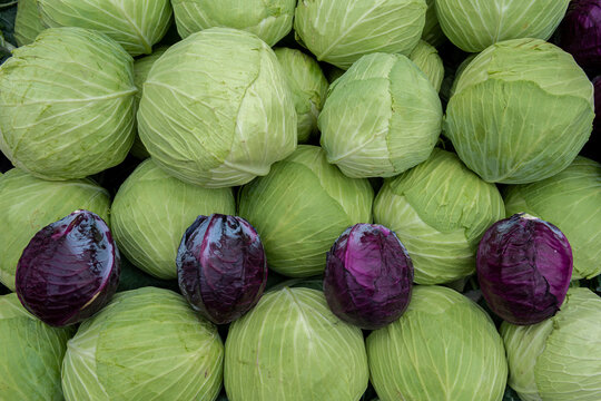 Close-up view of vegetables and fruits sold in the open market.