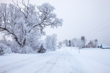Fototapeta na wymiar Farm in winter along a road with trees in Minnesota on a frosty snowy morning