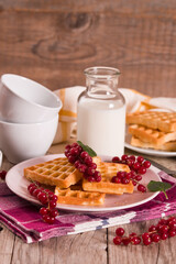 Waffle with red currant and honey on white dish.