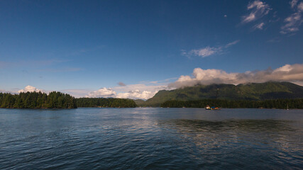 Tofino arbour with typical fisherman houses, vancouver island, british columbia, canada