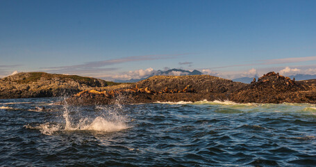 pacific ocean seascape in front of Tofino, Vancouver Island, Canada