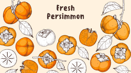 Persimmon fruit hand drawn design. Vector illustration. Design, package, brochure illustration. Persimmon fruit frame illustration. Design elements for packaging design and other