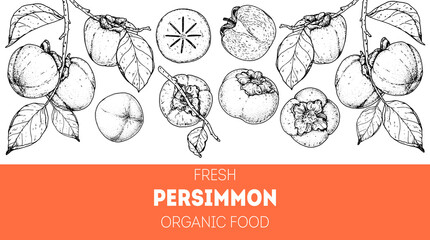 Obraz premium Persimmon fruit hand drawn design. Vector illustration. Design, package, brochure illustration. Persimmon fruit frame illustration. Design elements for packaging design and other.