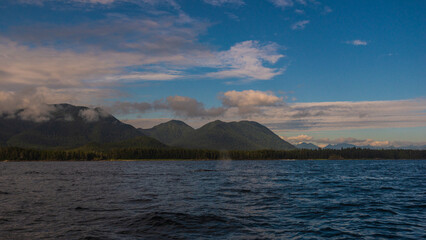 pacific ocean seascape in front of Tofino, Vancouver Island, Canada