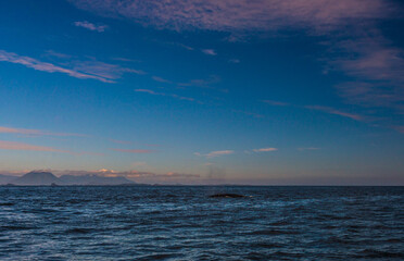 Obraz premium pacific ocean seascape in front of Tofino, Vancouver Island, Canada