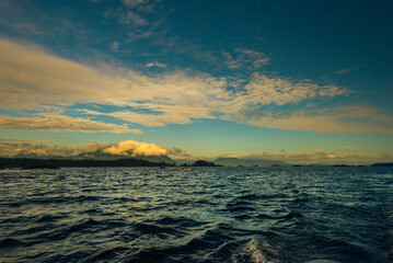 Fototapeta na wymiar pacific ocean seascape in front of Tofino, Vancouver Island, Canada