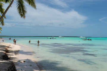 paradisiacal beach of white sands and turquoise waters with its palm tree
