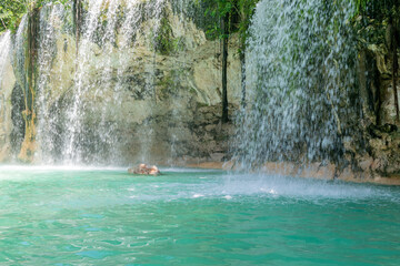 jungle waterfall with crystal clear water