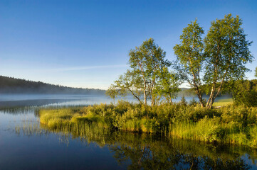 Obraz premium Trees light up in beautiful morning light at lake Tevsjon