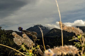 HILL COTACACHI IN THE BACKGROUND AND IN FRONT WE HAVE A BEAUTIFUL LANDSCAPE FULL OF LIFE.