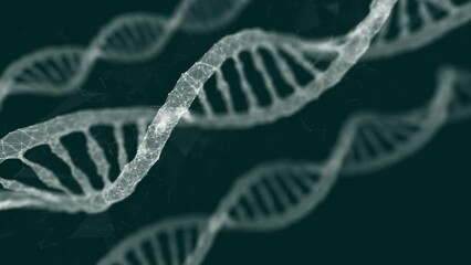 The process of DNA analysis is a moving graphic of a trial digital interface. White abstract DNA user interface. Medical Center DNA research. green background - Powered by Adobe
