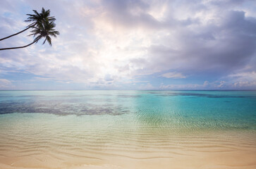 Tropical beach