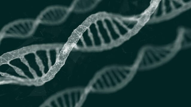 The process of DNA analysis is a moving graphic of a trial digital interface. White abstract DNA user interface. Medical Center DNA research. green background