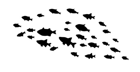 Fototapeta na wymiar Silhouettes of groups of fishes on white. Vector