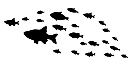 Silhouettes of groups of  fishes on white. Vector
