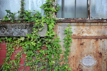 Agronomie Tropical Garden - 12th Arrondissement - Bois de Vincennes - Paris