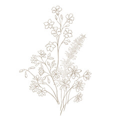 Hand Drawn Wildflower Bouquet. Line art Vector Illustration.