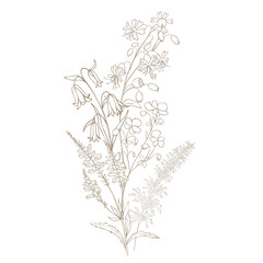 Fototapeta na wymiar Hand Drawn Wildflower Bouquet. Line art Vector Illustration.