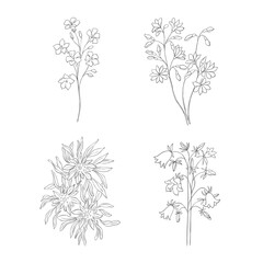 Hand Drawn Wildflowers Set. Line art Vector Illustration.