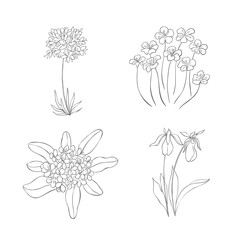 Hand Drawn Wildflowers Set. Line art Vector Illustration.