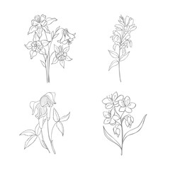 Hand Drawn Wildflowers Set. Line art Vector Illustration.