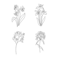 Hand Drawn Wildflowers Set. Line art Vector Illustration.