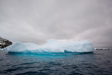 iceberg in polar regions © Robert