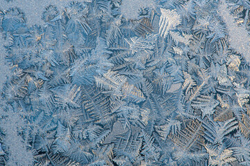 Frosty pattern on a winter window, shining in the sun.