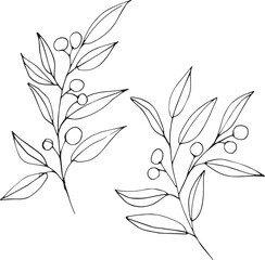 Set of graphic vector plant branches with leaves and flowers
