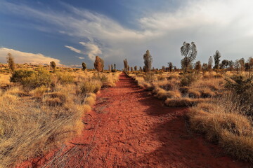 Red sand covered footpath going from the Resort area to Uluru-Ayers Rock. NT-Australia-389