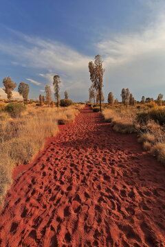 Red sand covered footpath going from the Resort area to Uluru-Ayers Rock. NT-Australia-390