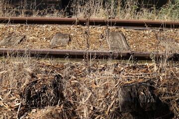 Fragments of the old railway from Haifa to Damascus.