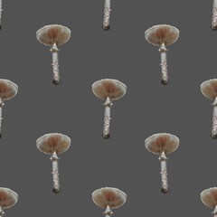 seamless pattern. Watercolor realistic mushroom. Beautiful mushroom Blusher. White mushrooms