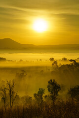 Fototapeta na wymiar Landscape in misty scenery, Thung Salaeng Luang area, Phetchabun province, Thailand.