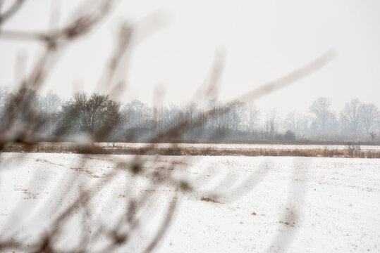 Winter landscape around Czerwieńsk village in Poland / Zimowy krajobraz na okolice miejscowości Czerwieńsk w Polsce