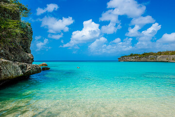 Tropical Caribbean Island Beach with Pelican in Curacao 