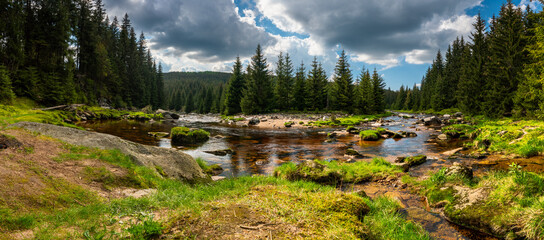 Fototapeta The Izera River in the Jizera Mountains, Polish-Czech border / Izery obraz