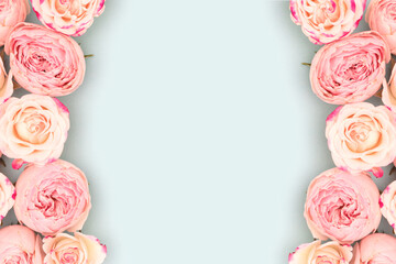 Fototapeta na wymiar Border frame made of pink rose flowers on a blue background. Place for your deisgn.