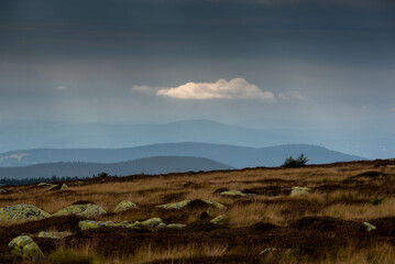 Karkonoski Park Narodowy   © LukaszB
