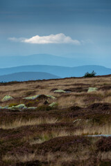 Karkonoski Park Narodowy   © LukaszB
