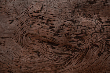 High Quality Circular wood texture for background