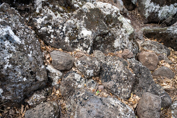 Closeup of large rocks or boulders near the mountains. Large multicolored granites. Details of big grey stone structures with orange particles shining in the sunlight.