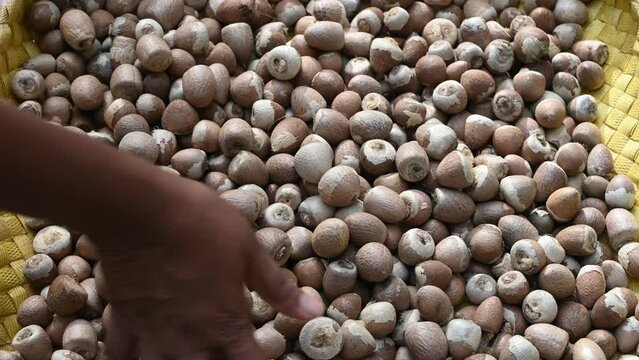 A peel out pile of Areca nuts, spread on the reel basket to sun drying and a woman turns or stir them