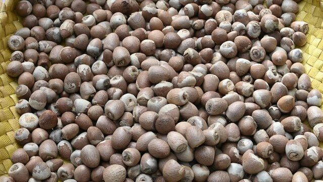 Hands full of peeled out Areca nuts on the woman's hands and falling down