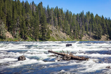 Le Hardy Rapids Yellowstone River in Yellowstone National Park 